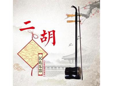 招聘郴州二胡家教老师